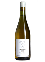 Canopus Blanco Semillon | Natural Wine by Canopus