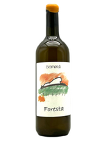 Foresta | Natural Wine by Gismondi.