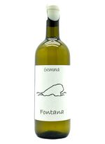 Fontana 2022 | Natural Wine by Gismondi .