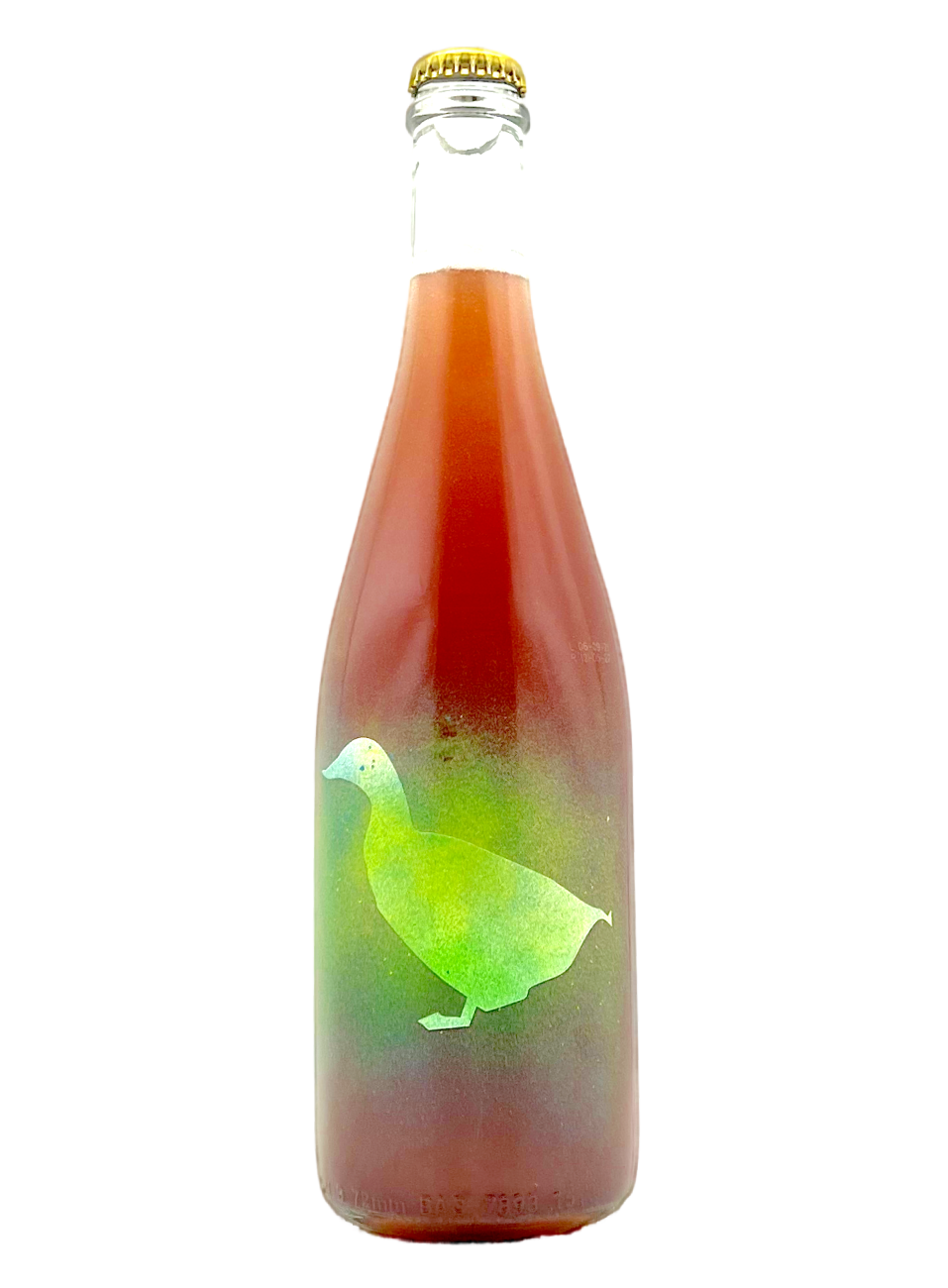 Joáo Pato | Ray Duck | MORE Natural Wine